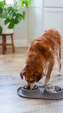 Messy Mutts Double Silicone Dog Feeder with Stainless Bowls (Large Blue)