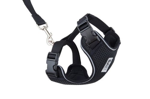 RC Pets Adventure Kitty Harness Black (Medium)