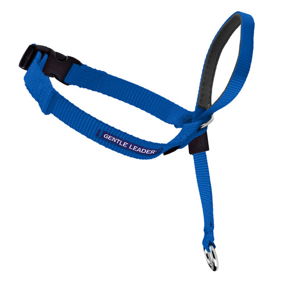 Petsafe Gentle Leader Quick Release Royal Blue Headcollar for Dogs