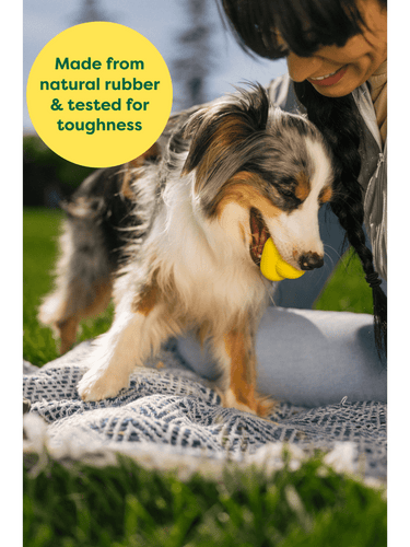 Earth Rated Rubber Fetch Dog Toy