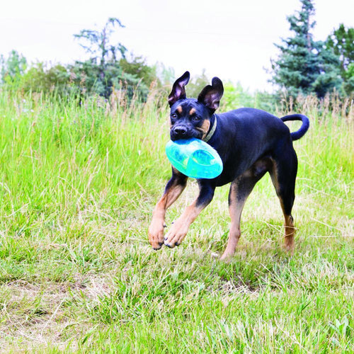 KONG Jumbler Football Dog Toy