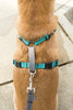 PetSafe 3 in 1 Plum Dog Harness