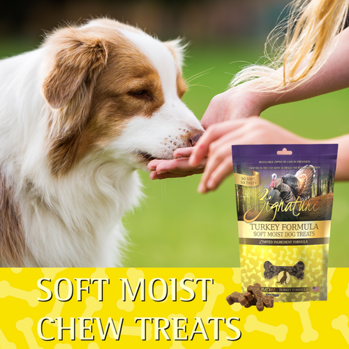 Zignature Turkey Formula Soft Moist Treats for Dogs