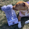 Huggle Hounds HuggleHug™ Lavender Bone and Calming Spray Set