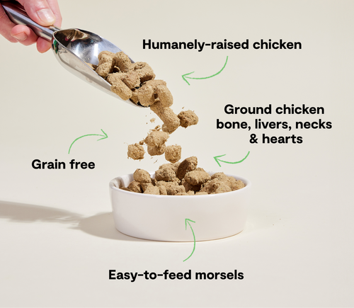 Open Farm Harvest Chicken Freeze Dried Raw Morsels for Dogs