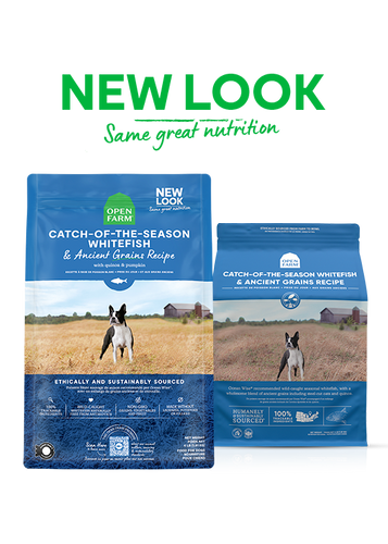 Open Farm Catch-of-the-Season Whitefish & Ancient Grains Dry Dog Food