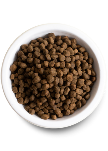 Open Farm Salmon & Sweet Potato Grain-Free Puppy Food (22 lb)