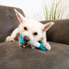 KONG Duets Dental Stick Dog Toy