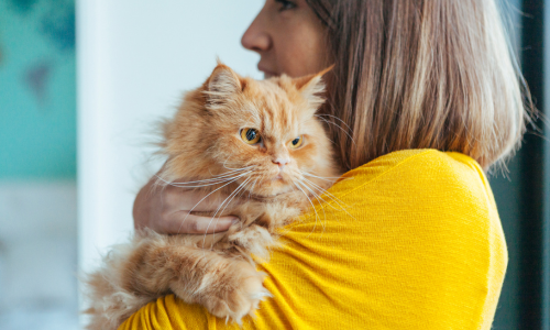 Woman holding her cat