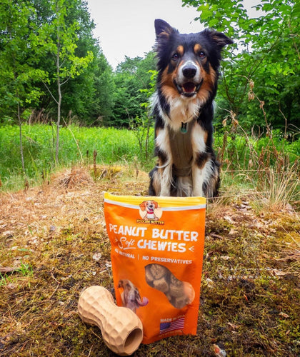 Poochie Butter Peanut Butter Soft Chewies Dog Treats