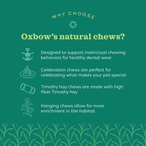 Oxbow Animal Health Enriched Life - Natural Dangly Party Pack