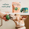 Woof All-in-1 Wellness Pops