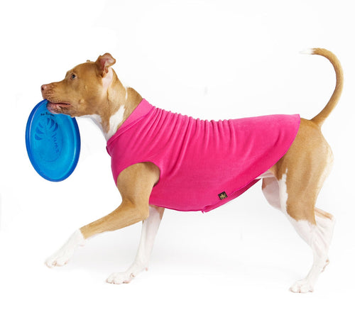 Goldpaw Fleece Fuchsia*