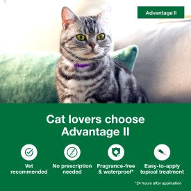 Advantage II Small Cat Vet-Recommended Flea Treatment & Prevention