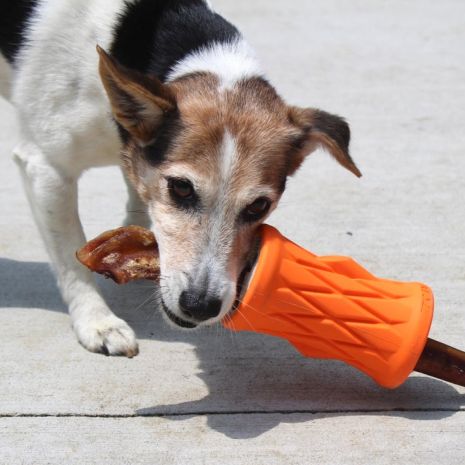 Tall Tails Natural Rubber Tree Trunk Reward Dog Toy (5)