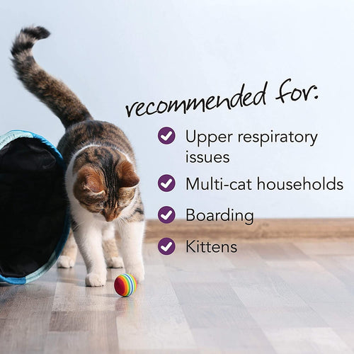 VetriScience Vetri-Lysine Plus Immune Health Bite-Sized Cat Chews