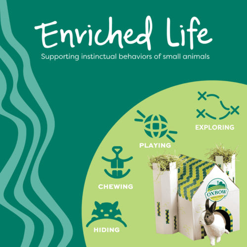 Oxbow Enriched Life – Hanging Mulberry Chew