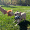 Territory Caveman Treat-and-Tug Dog Toy