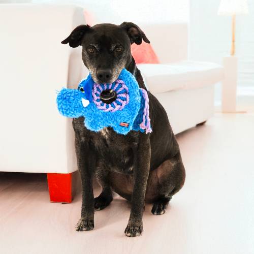 KONG Ringaroos Elephant Dog Toy