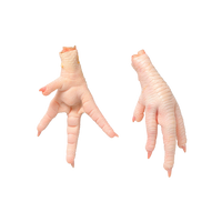 RAWR Chicken Paws