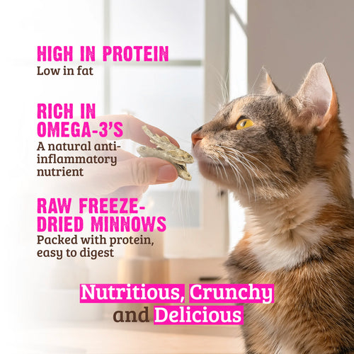 Raw Freeze Dried Minnows Crunchy Cat Treats