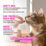 Rawz Raw Freeze Dried Venison, Goat's Milk & Green Mussels Crunchy Cat Treats