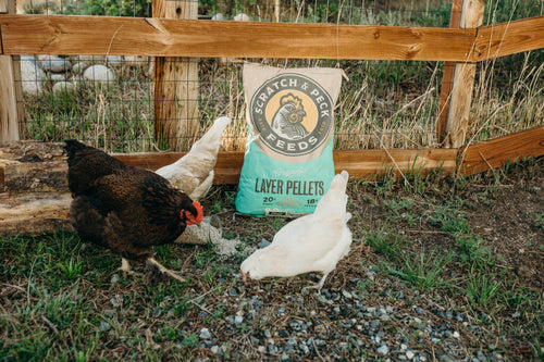 Scratch and Peck Feeds Organic Layer Pellets 18%
