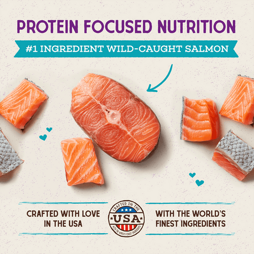 Stella & Chewy's Raw Coated Kibble Cage-Free Duck Recipe for Cats