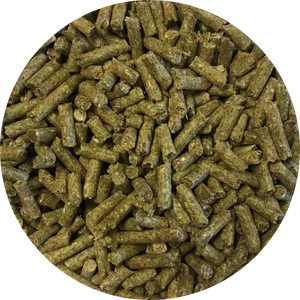 Ace Hi Mini/Pot Bellied Pig Diet