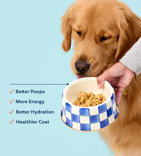 My Perfect Pet Chicken and Beef Boomer's Frozen Dog Food