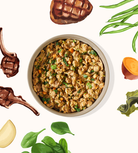 My Perfect Pet Roxy's Lamb and Beef Recipe Gently Cooked Dog Food