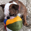 Fluff & Tuff Beach Ball Plush Dog Toy