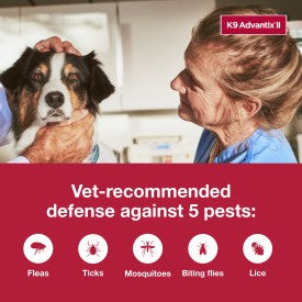 K9 Advantix II Flea, Tick & Mosquito Treatment & Prevention for Large Dogs