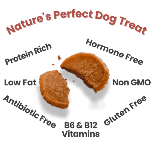 Farm To Pet Turkey Chips Single Ingredient Dog Treats